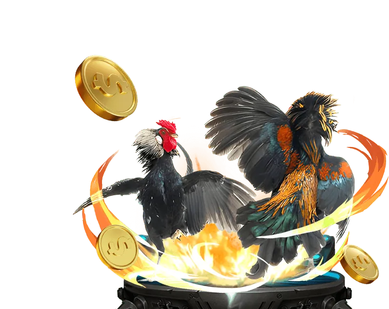 Cá cược thể thao b66 vin